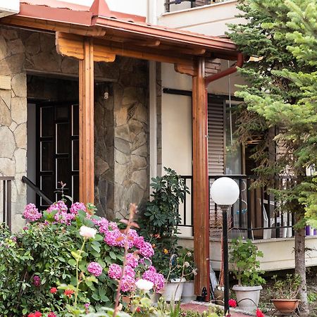 Manos Kritikakis Apartments 帕拉塔蒙 外观 照片