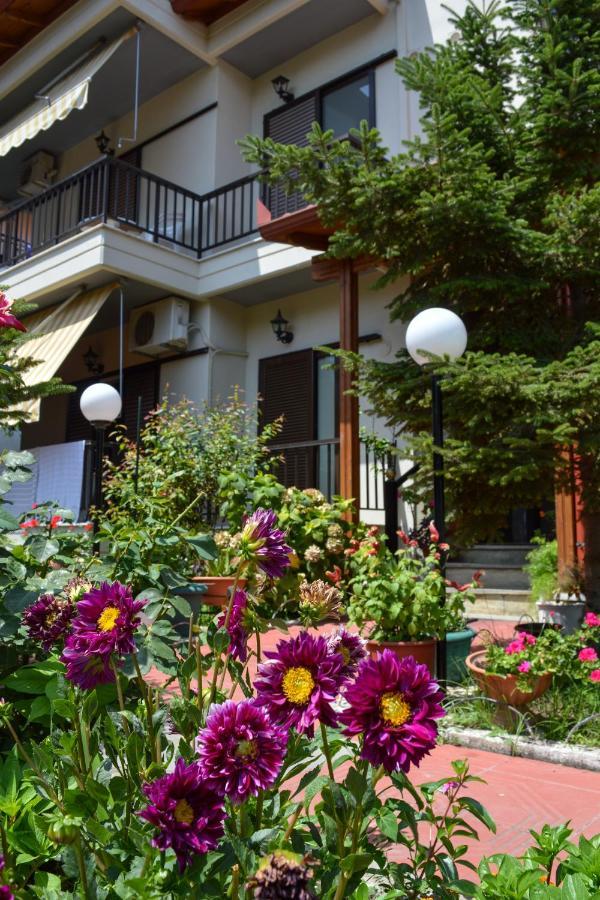 Manos Kritikakis Apartments 帕拉塔蒙 外观 照片